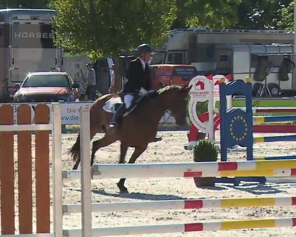Reitturnier Grafenrheinfeld/Ufr. 2022