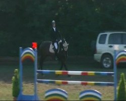 jumper Cobain 2 (Holsteiner, 2004, from Canturo)
