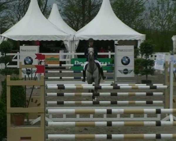 jumper Iceman Sr (KWPN (Royal Dutch Sporthorse), 2006, from Cartano)