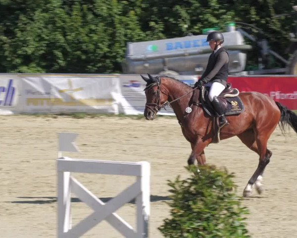 Reitturnier Oberderdingen 2022
