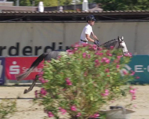 Reitturnier Oberderdingen 2022