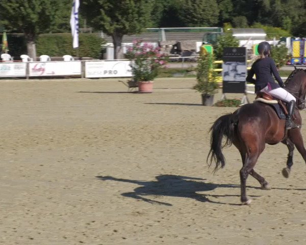 Reitturnier Oberderdingen 2022