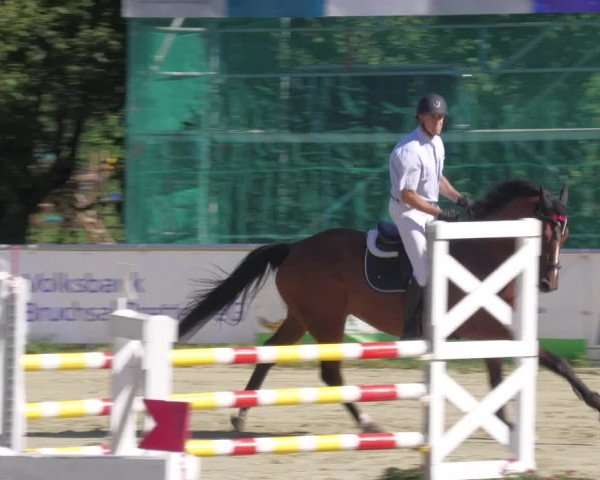 Reitturnier Oberderdingen 2022