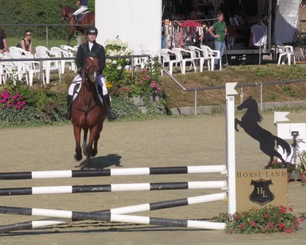 Reitturnier Oberderdingen 2022