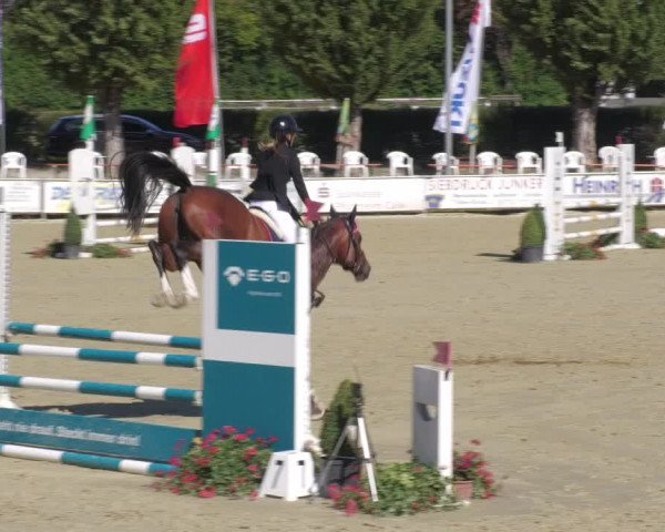 Reitturnier Oberderdingen 2022