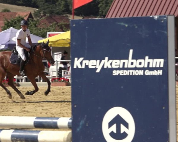 Reitturnier Kreiensen- Rittierode 2022