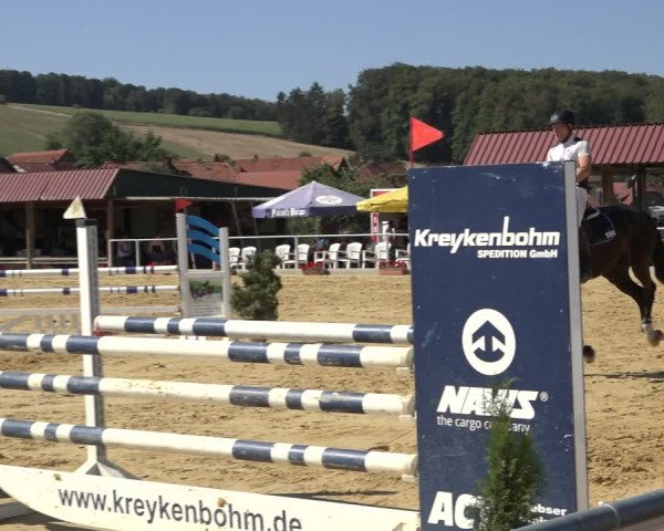Reitturnier Kreiensen- Rittierode 2022