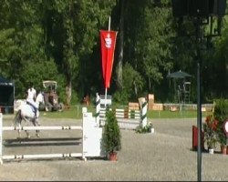 jumper Riani (Württemberger, 2001, from Rubicell)