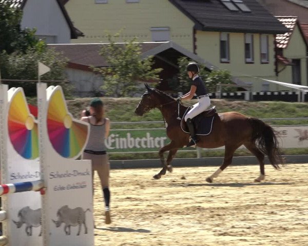 Reitturnier Kreiensen- Rittierode 2022