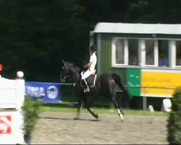 dressage horse Mona Lisa 265 (Bavarian, 1997, from Gambrinus)