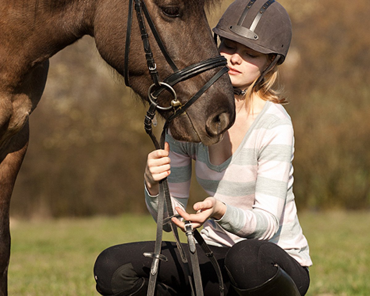 horse Ernie 32 (Duelmener, 2005)