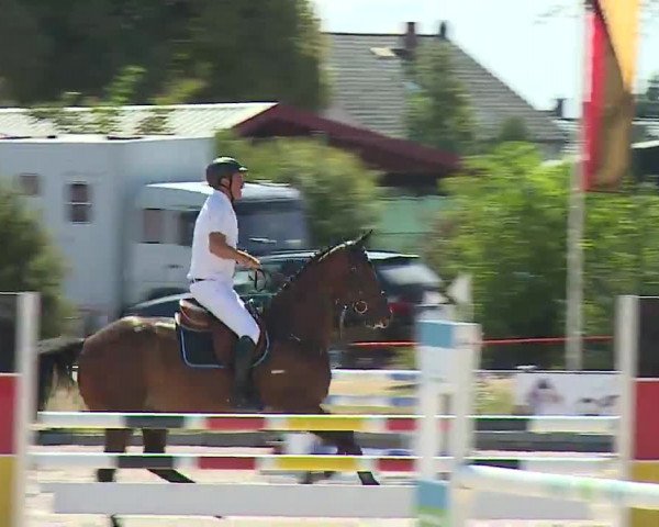 Reitturnier Grafenrheinfeld/Ufr. 2022