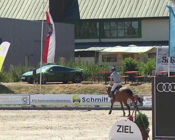 Reitturnier Grafenrheinfeld/Ufr. 2022