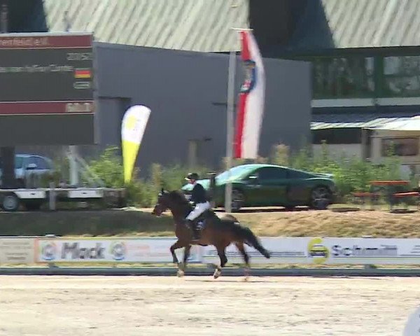 Reitturnier Grafenrheinfeld/Ufr. 2022