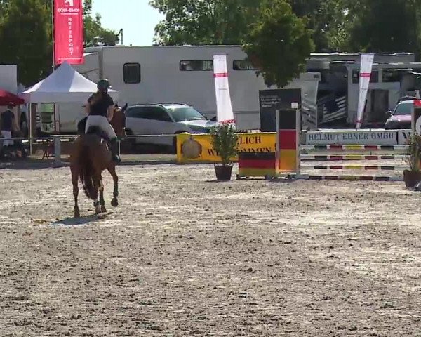 Reitturnier Grafenrheinfeld/Ufr. 2022