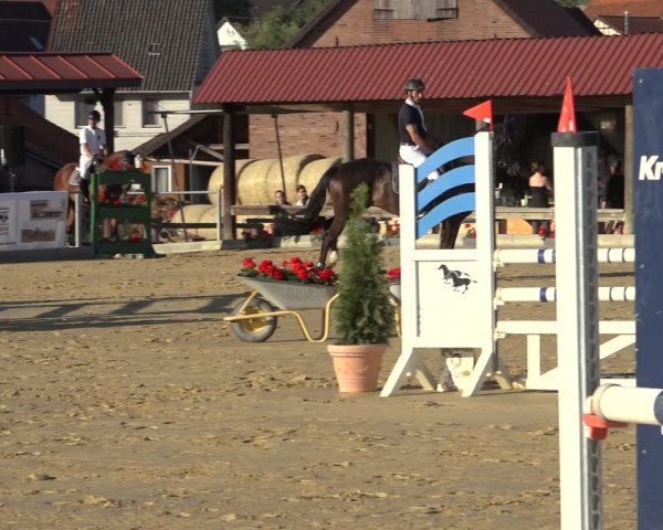 Reitturnier Kreiensen- Rittierode 2022
