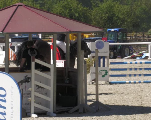 Reitturnier Gundelfingen 2022