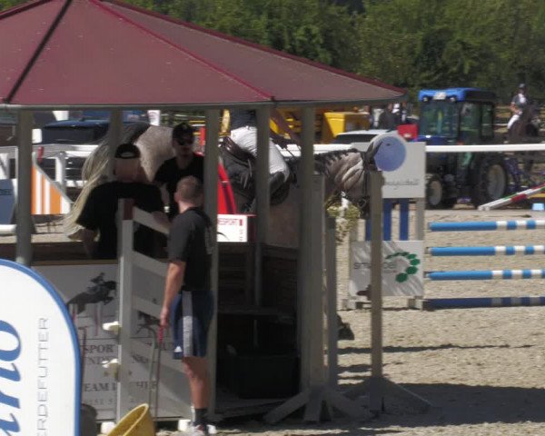 Reitturnier Gundelfingen 2022