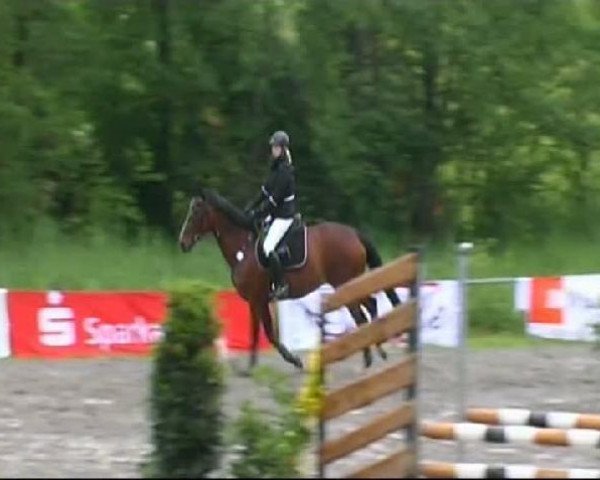 jumper Akita (Saxony-Anhaltiner, 1998, from Ajan xx)