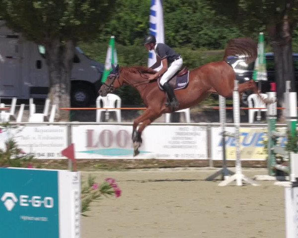 Reitturnier Oberderdingen 2022