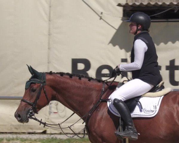 Reitturnier Oberderdingen 2022