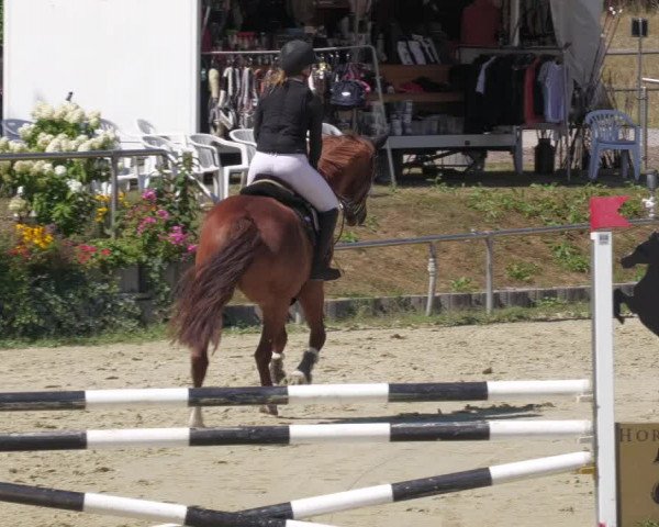 Reitturnier Oberderdingen 2022