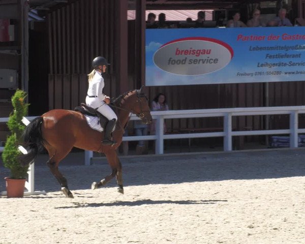 Reitturnier Gundelfingen 2022