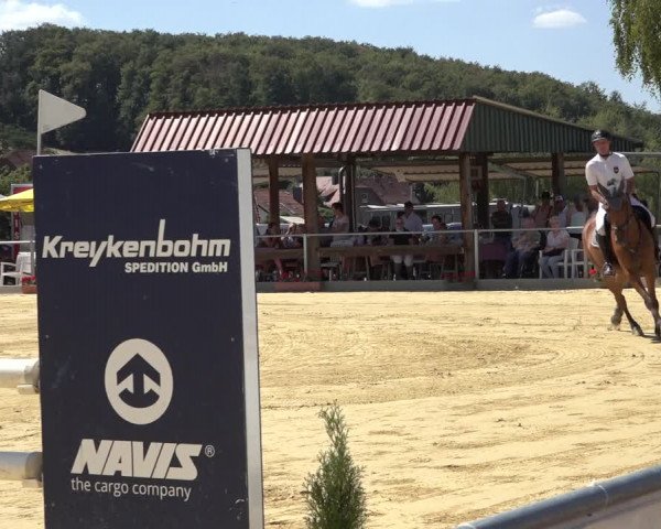 Reitturnier Kreiensen- Rittierode 2022