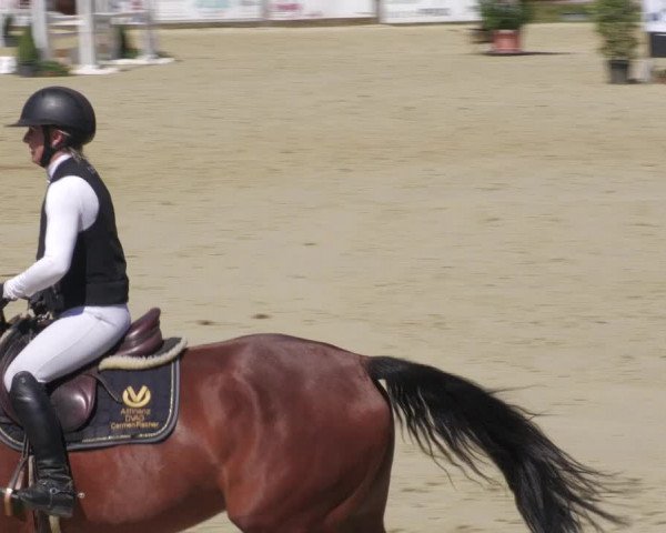 Reitturnier Oberderdingen 2022