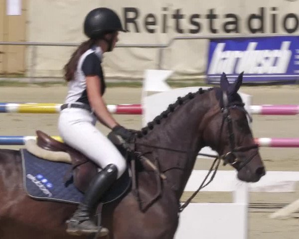 Reitturnier Oberderdingen 2022