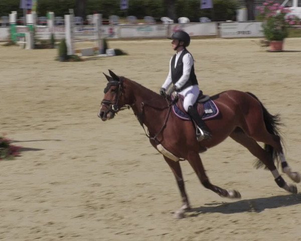 Reitturnier Oberderdingen 2022