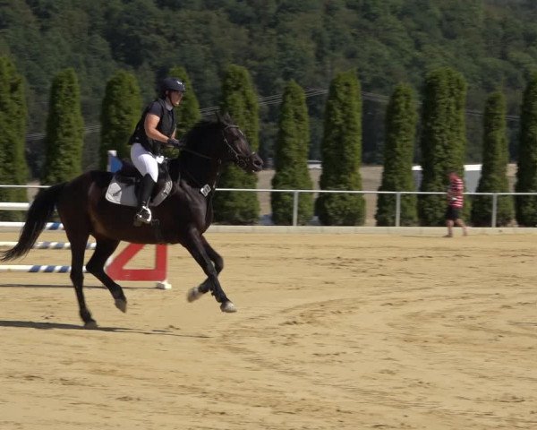 Reitturnier Kreiensen- Rittierode 2022