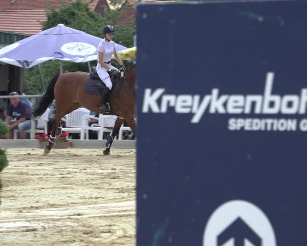 Reitturnier Kreiensen- Rittierode 2022