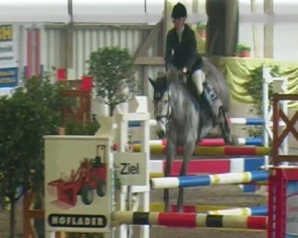 Springpferd Silvermoon 31 (Irish Sport Horse, 2002, von Cloneen Clover)