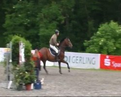 jumper He Man S (Württemberger, 2001, from Heraldik xx)