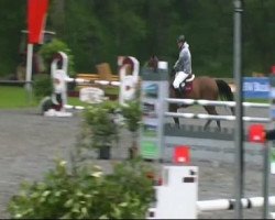 jumper Granziano 5 (Oldenburg, 1998, from Grand Step)