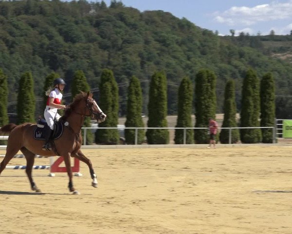 Reitturnier Kreiensen- Rittierode 2022