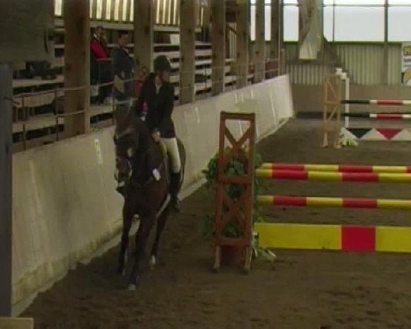 jumper Kastel D’evordes (Selle Français, 1998, from Galoubet A)