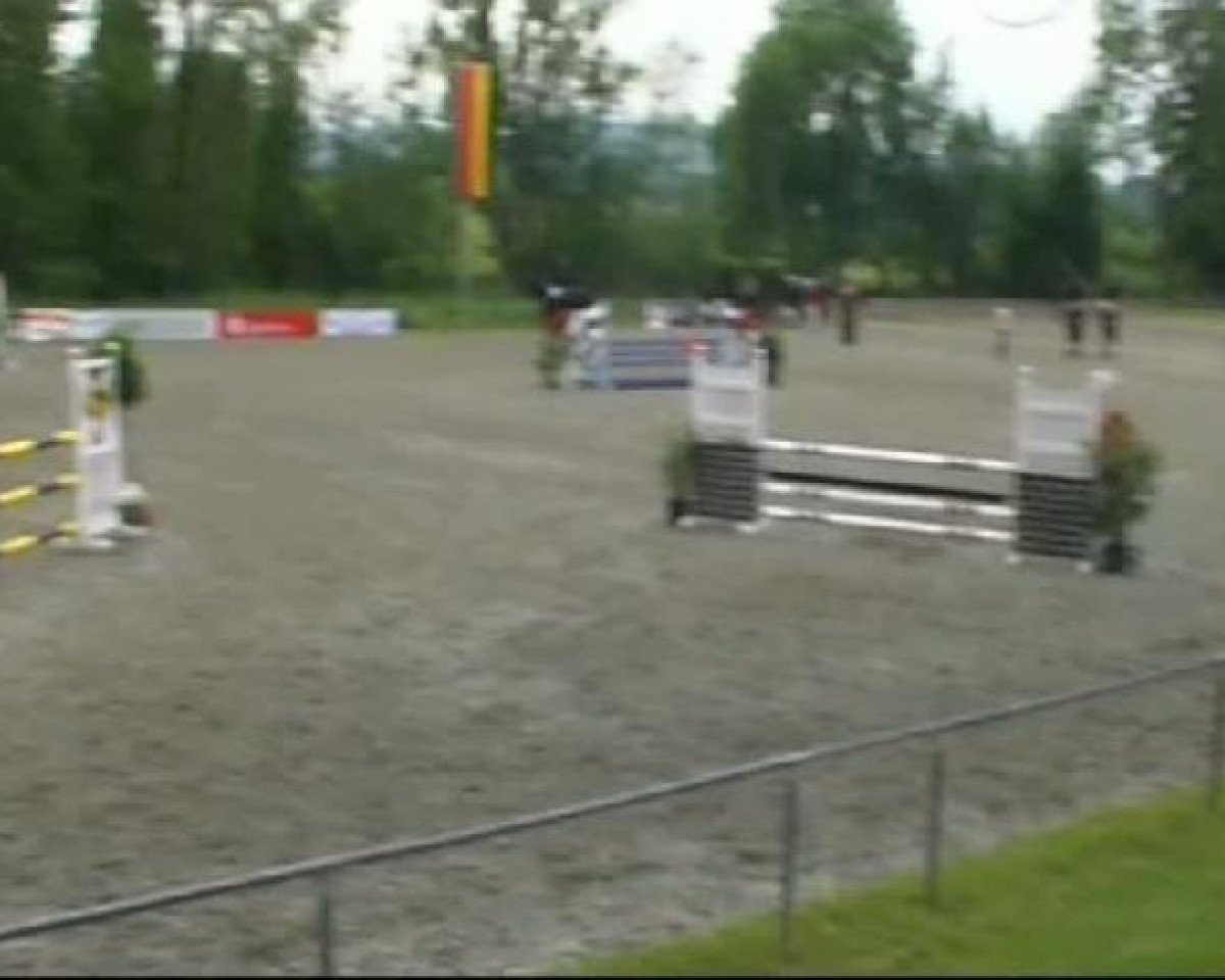 Pferd Coralina 8 (Hannoveraner, 2005, von Conteur)