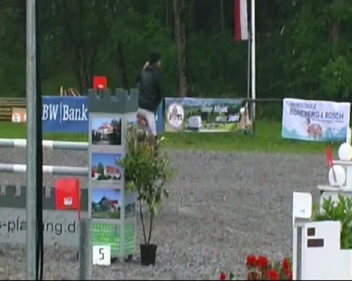 Springpferd Classic-Jumping Junior (Holsteiner, 1999, von Corleone) - Isny-Rohrdorf 2011
Freitag, den 27.05.2011
03 Springprüfung Kl.M**
