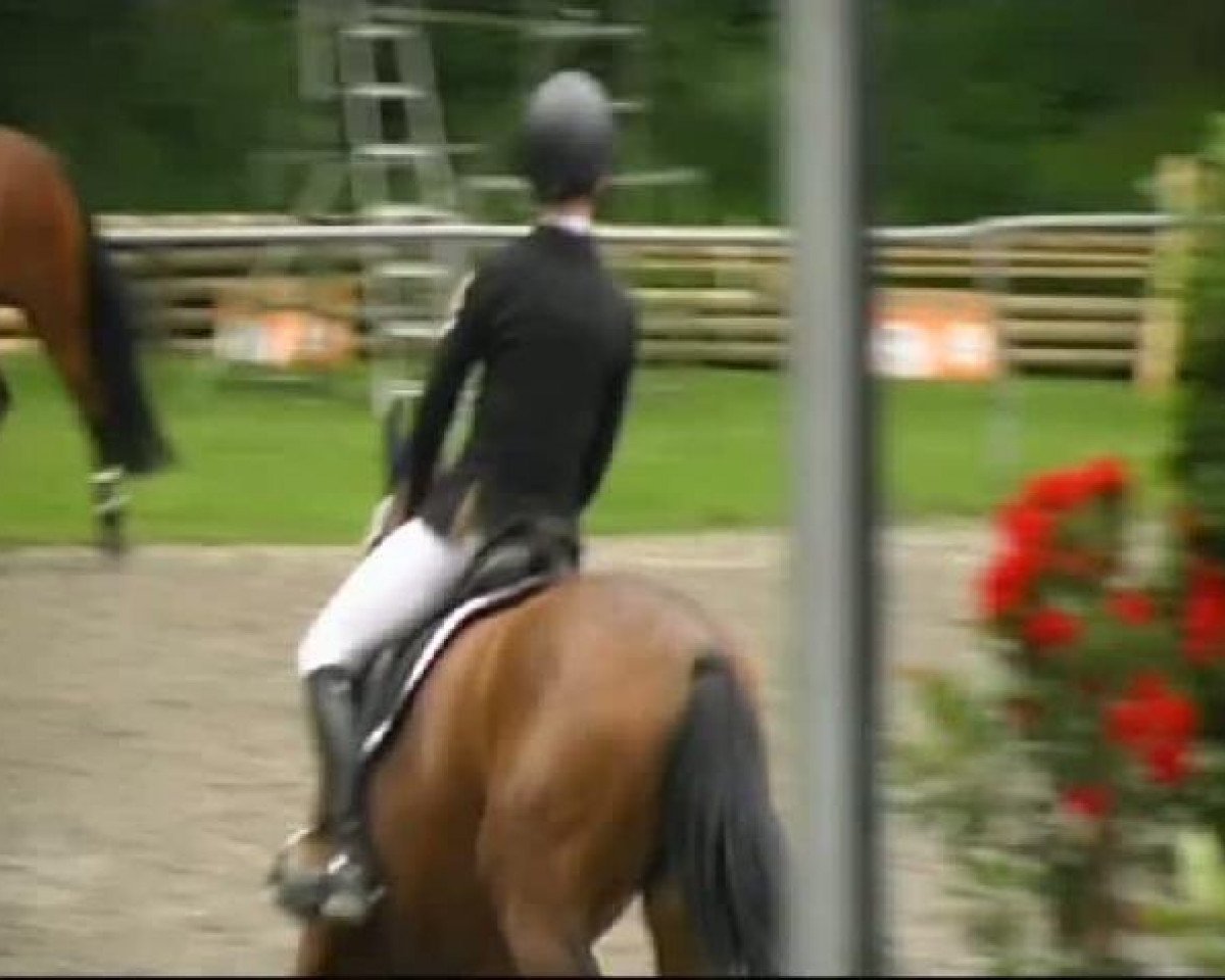 Pferd Annabell 388 (unbekannt, 1999)