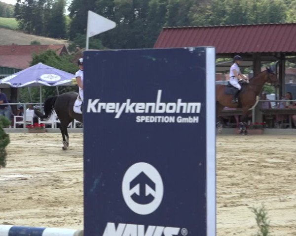 Reitturnier Kreiensen- Rittierode 2022
