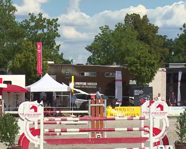 Reitturnier Grafenrheinfeld/Ufr. 2022