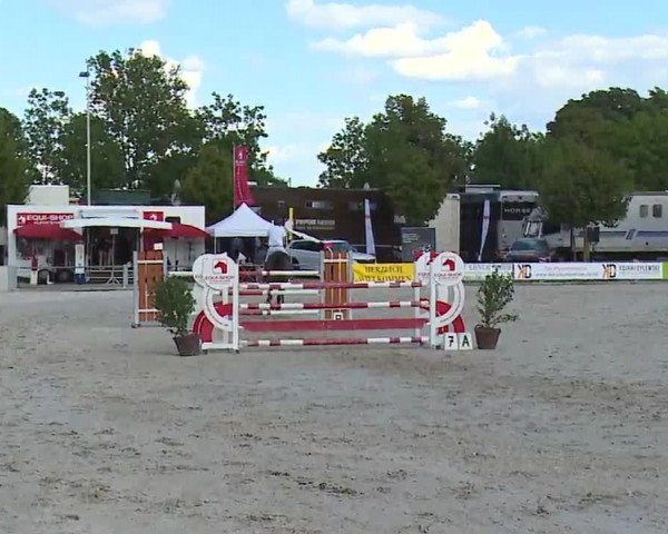 Reitturnier Grafenrheinfeld/Ufr. 2022