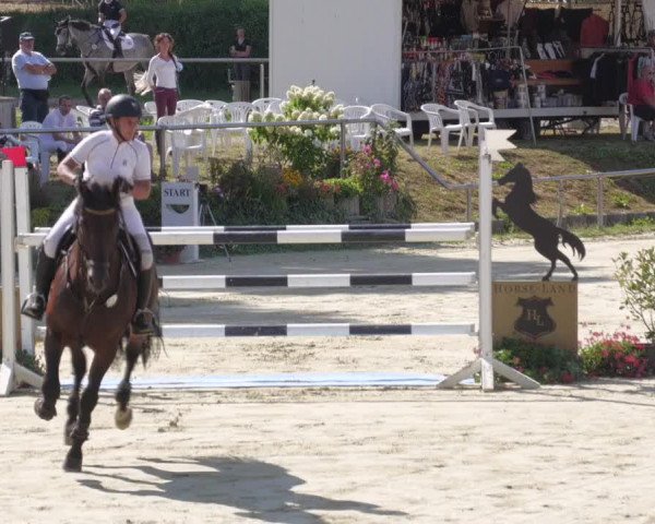 Reitturnier Oberderdingen 2022