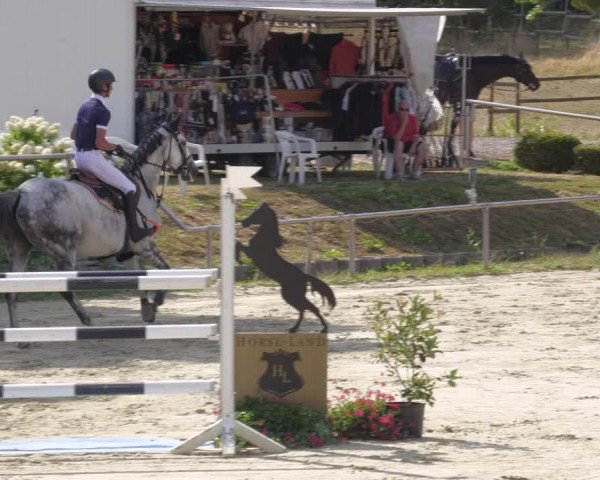 Reitturnier Oberderdingen 2022