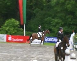 jumper Le-casei-defensis (Oldenburg, 2002, from Landgold)