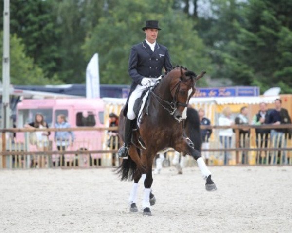 dressage horse Uzzo (KWPN (Royal Dutch Sporthorse), 2001, from Lancet 2) dressage horse Uzzo (KWPN (Royal Dutch Sporthorse), 2001, from Lancet 2)