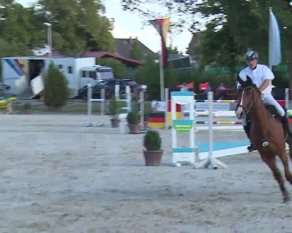 Reitturnier Grafenrheinfeld/Ufr. 2022