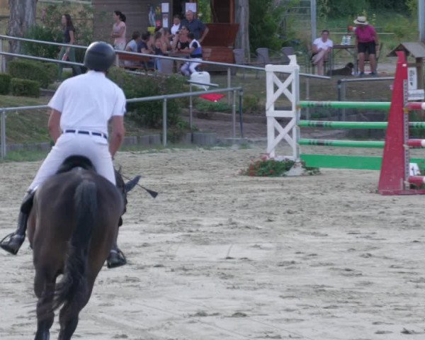 Reitturnier Oberderdingen 2022